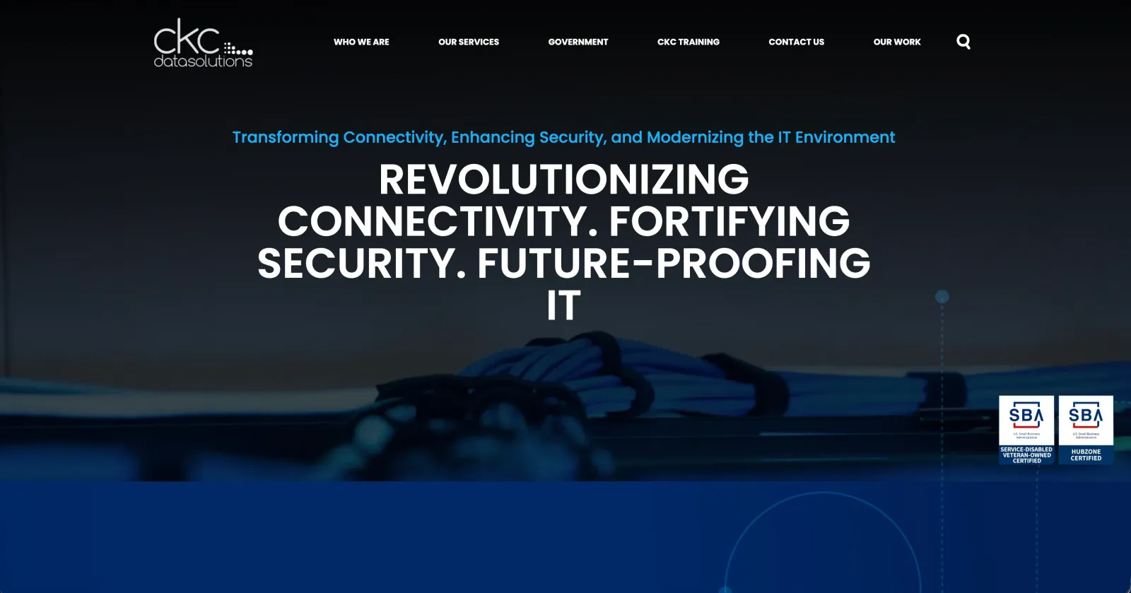 CKC Data Solutions website