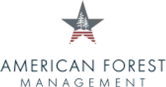 American Forest Management